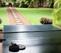 Table Tennis